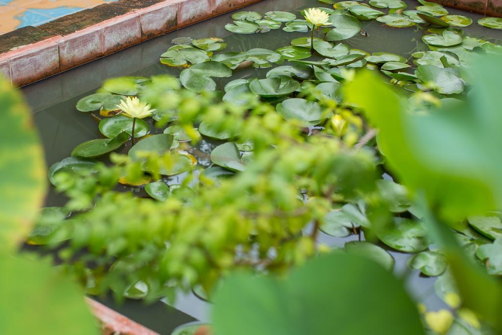 Baan Are Gong Riverside Homestay Ayutthaya Bagian luar foto